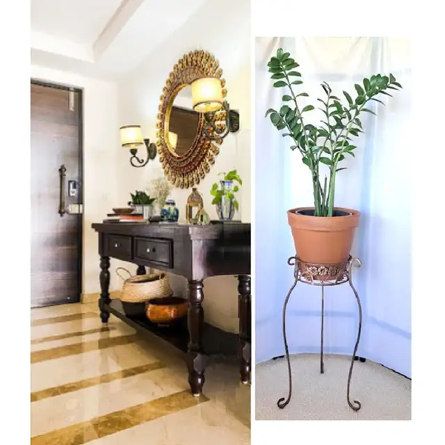 ZZ PLANT   STAND