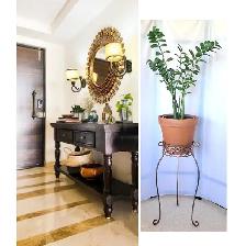 ZZ PLANT   STAND