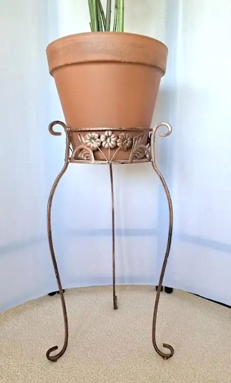 ZZ PLANT   STAND - Photo 4