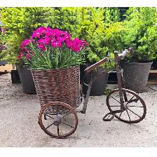 PLANT STAND