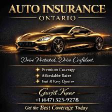 Insurance