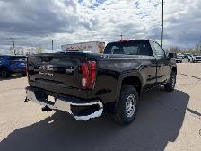 2026 GMC Sierra 1500 Pro - $456 B/W - Photo 5