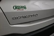 2025 Kia Sorento EX Hybrid Call 902-466-9550 6 Pass, Apple Carpl - Photo 21