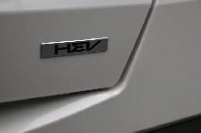 2025 Kia Sorento EX Hybrid Call 902-466-9550 6 Pass, Apple Carpl - Photo 22