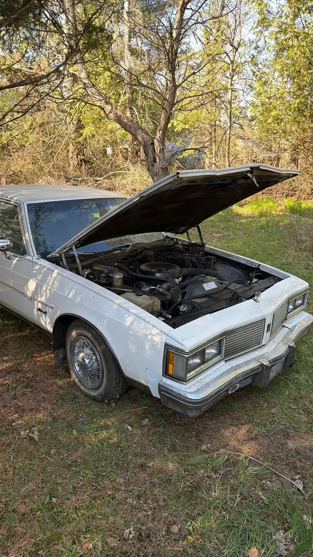 barn finds - Photo 2