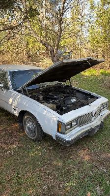 barn finds - Photo 2