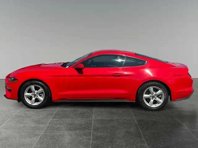 2018 Ford Mustang EcoBoost / RWD - Photo 2