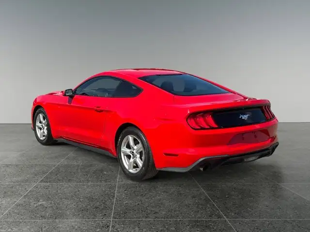 2018 Ford Mustang EcoBoost / RWD - Photo 4
