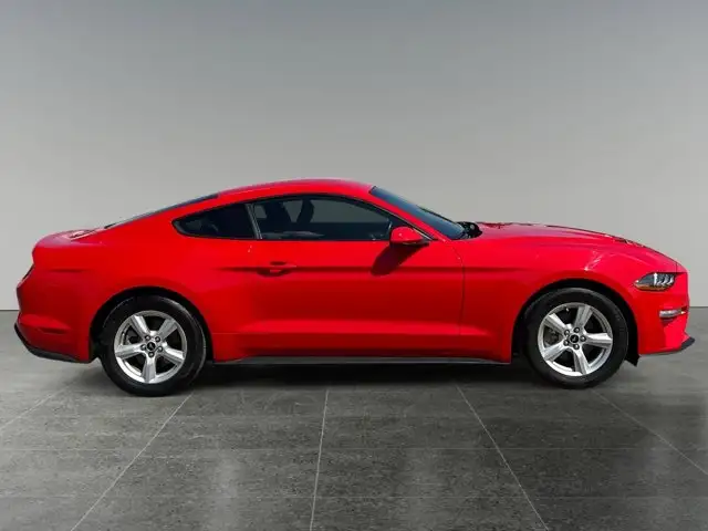 2018 Ford Mustang EcoBoost / RWD - Photo 8