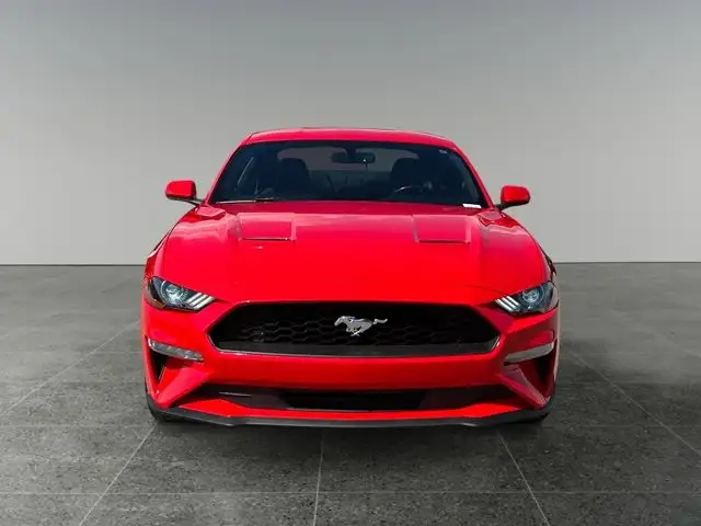 2018 Ford Mustang EcoBoost / RWD - Photo 10