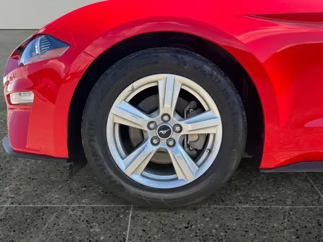 2018 Ford Mustang EcoBoost / RWD - Photo 11