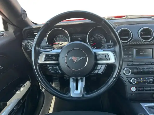 2018 Ford Mustang EcoBoost / RWD - Photo 12