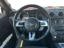 2018 Ford Mustang EcoBoost / RWD - Photo 12