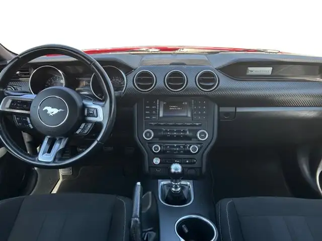 2018 Ford Mustang EcoBoost / RWD - Photo 13