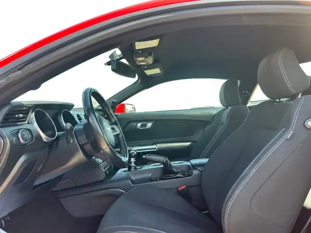 2018 Ford Mustang EcoBoost / RWD - Photo 14