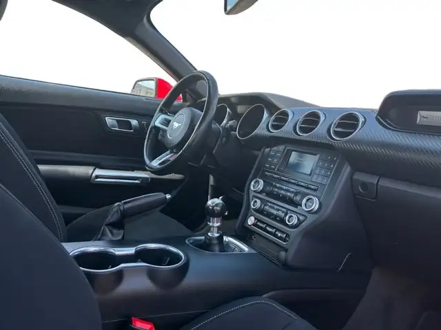 2018 Ford Mustang EcoBoost / RWD - Photo 17