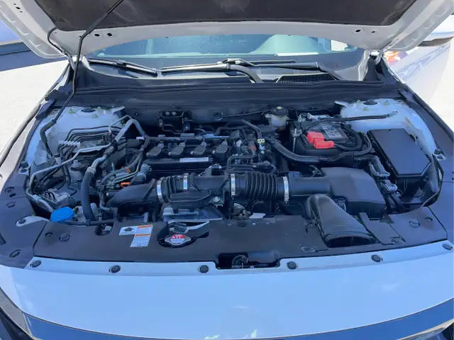 2019 Honda Accord - Photo 9