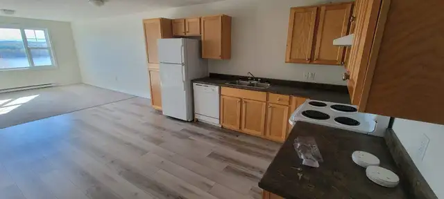 4 BR - 1 BA - Fredericton - $1,897 /mo - Photo 14