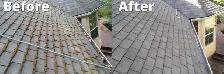 Roofing Service - Photo 3
