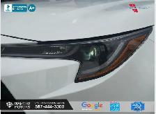2021 Toyota Corolla LE UPGRADE W/SUNROOF - No Accidents - Low Ki - Photo 3