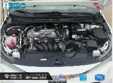 2021 Toyota Corolla LE UPGRADE W/SUNROOF - No Accidents - Low Ki - Photo 5