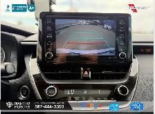 2021 Toyota Corolla LE UPGRADE W/SUNROOF - No Accidents - Low Ki - Photo 22