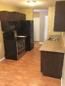 3 bedroom suite  quiet neighborhood - Photo 6