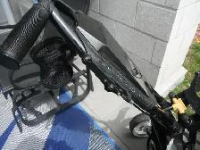 chariots de Gulf - Photo 9