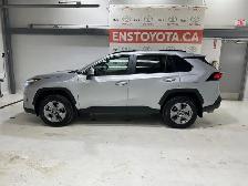 2025 Toyota RAV4 XLE - Sunroof - Power Liftgate - Photo 2