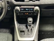 2025 Toyota RAV4 XLE - Sunroof - Power Liftgate - Photo 15