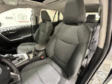 2025 Toyota RAV4 XLE - Sunroof - Power Liftgate - Photo 19