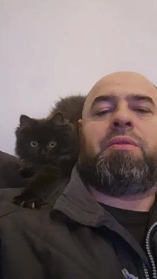 I'm selling a cat, only 9 months old, he's very cuddly and the b - Photo 9
