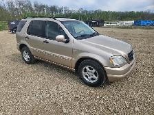 2001 Mercedes Benz ML320 - Photo 2