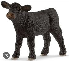 bull calf
