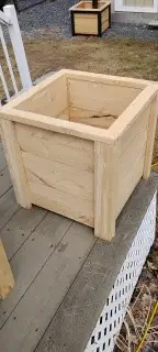 Hemlock planters and more - Photo 8