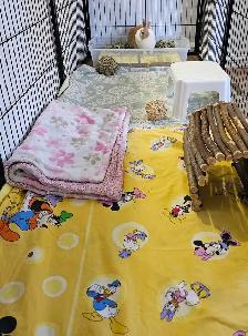 WHERE SMALL PETS GET BIG CARE!! - Photo 9