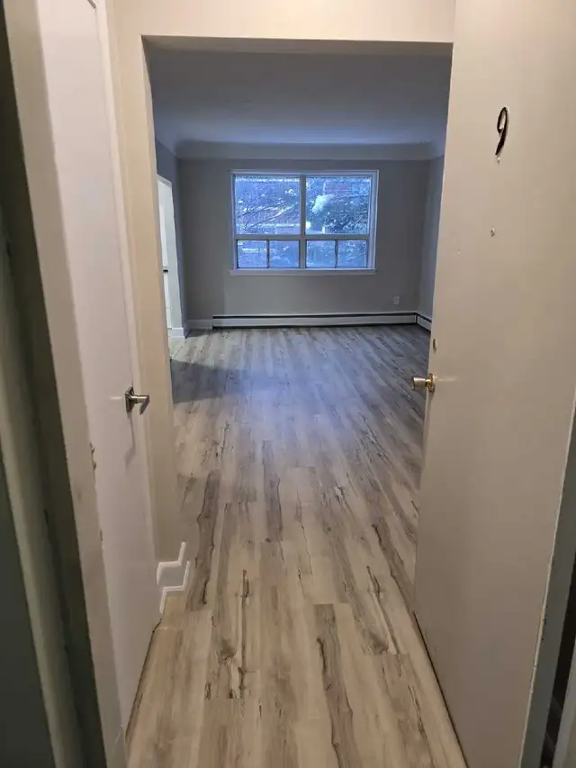 Bachelor apartment available June 1st! - Photo 2