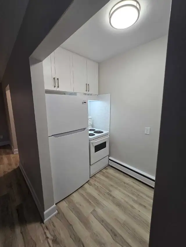 Bachelor apartment available June 1st! - Photo 5