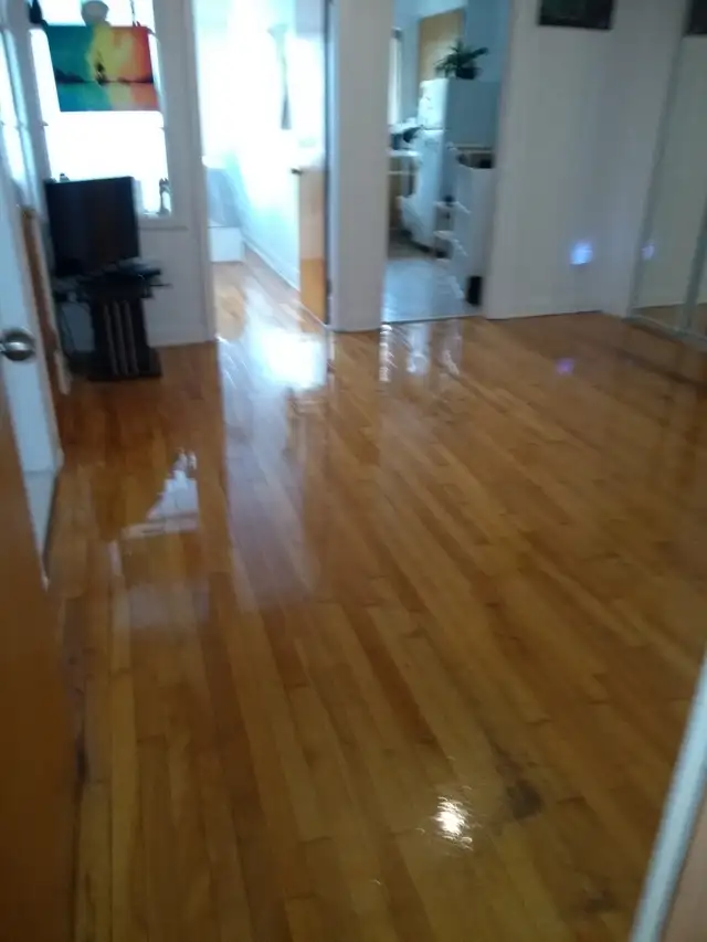 BEAUX 3½ À LOUER DANS ROSEMONT - 1ER JULLET- près CEGEP - Photo 6