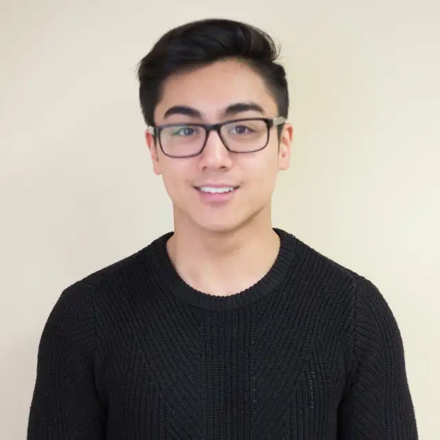 WordPress/Shopify/AI Expert - Ottawa