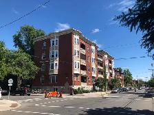 Cozy 2 Bedroom Glebe Apartment for Rent (585 O'Connor St)