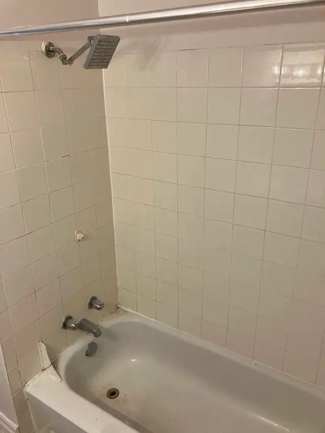 Cozy 2 Bedroom Glebe Apartment for Rent (585 O'Connor St) - Photo 5