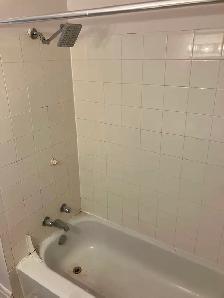 Cozy 2 Bedroom Glebe Apartment for Rent (585 O'Connor St) - Photo 5