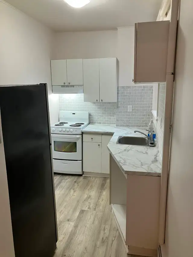 Cozy 2 Bedroom Glebe Apartment for Rent (585 O'Connor St) - Photo 6