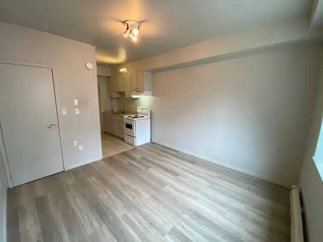 Studio Apartments in Durand and Corktown neighbourhoods