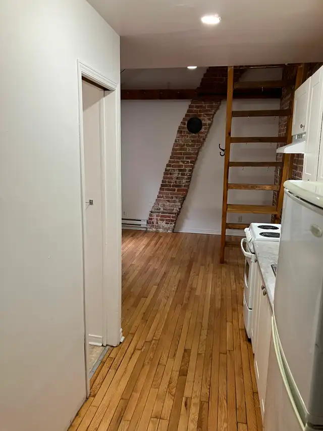 Sandy Hill Bachelor/Studio Apartment for Rent (288 Daly Ave) - Photo 2