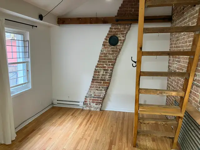 Sandy Hill Bachelor/Studio Apartment for Rent (288 Daly Ave) - Photo 5