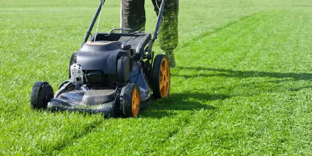 Landscaping Help wanted today