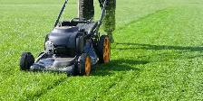 Landscaping Help wanted today