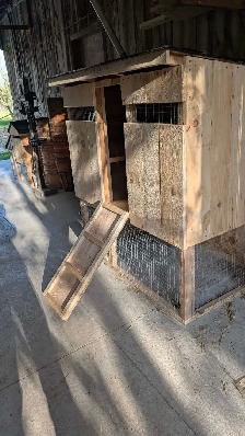 chicken coop